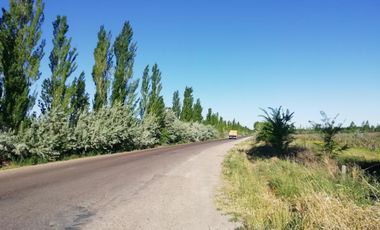 Chacra - Venta - Excelente ubicación - General Roca - R006