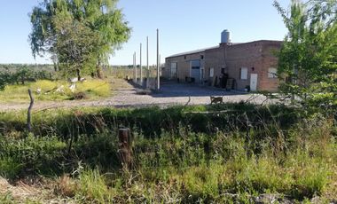 Chacra - Venta - Excelente ubicación - General Roca - R006