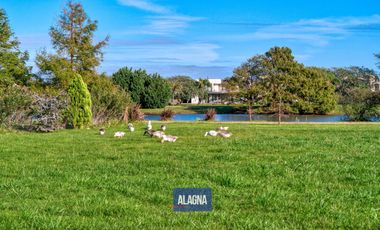 Terreno en Puerto Roldan, Vista al Lago, 960m2