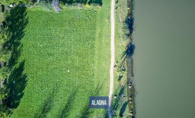 Terreno en Puerto Roldan, Vista al Lago, 960m2