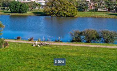 Terreno en Puerto Roldan, Vista al Lago, 960m2