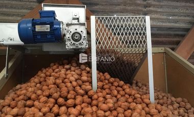 Venta - Chacra con Nogales en producción -  General Roca -  C020