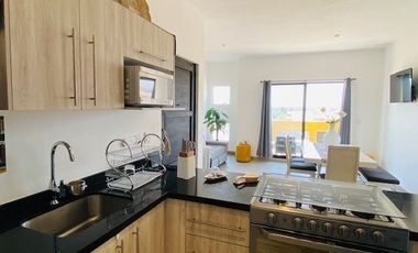 DEPARTAMENTO AMUEBLADO EN RENTA EN SAN MIGUEL DE ALLENDE GUANAJUATO