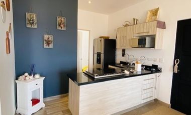 DEPARTAMENTO AMUEBLADO EN RENTA EN SAN MIGUEL DE ALLENDE GUANAJUATO