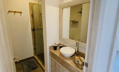 DEPARTAMENTO AMUEBLADO EN RENTA EN SAN MIGUEL DE ALLENDE GUANAJUATO