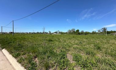 Terreno en Ibarlucea