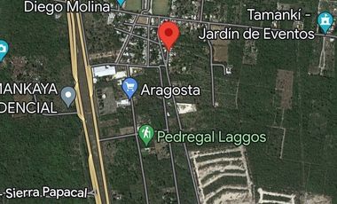 Terreno en renta en Tamanche con barda perimetral