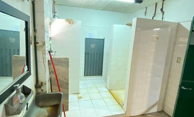 Galpón - San Fernando - alquiler