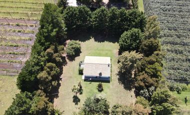 10Ha - Agrícola - Miramar