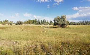 Venta - Chacra en Blanco de 42 has en Mainque - R021