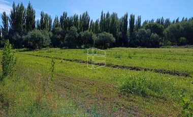 Venta - Chacra en Blanco de 42 has en Mainque - R021