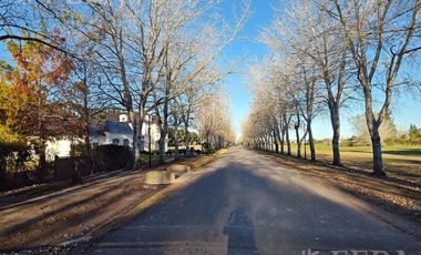 Venta de lote de 1000 m2 en Haras del Sur II