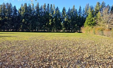 Venta de lote de 1000 m2 en Haras del Sur II