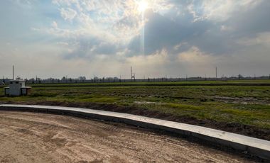 Terreno en  Don Armando