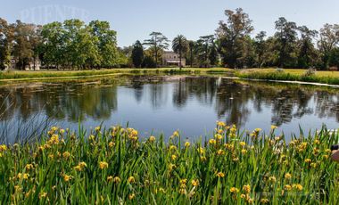Terreno - San Eliseo Golf