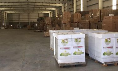 Nave Industrial - Polo Industrial Ezeiza - Venta - Galpon - Parque Industrial -