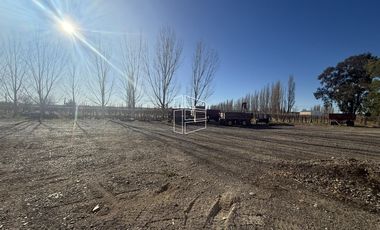 Venta -  Bodega y Chacra con Producción de Viña - R023