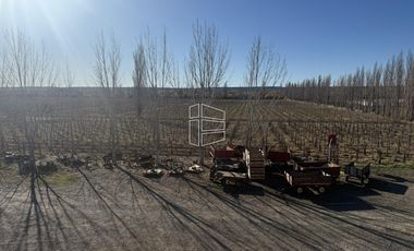 Venta -  Bodega y Chacra con Producción de Viña - R023