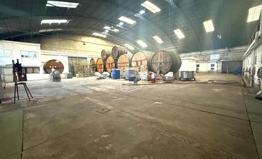 Venta -  Bodega y Chacra con Producción de Viña - R023