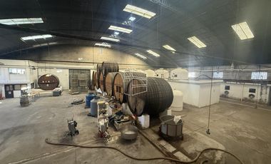 Venta -  Bodega y Chacra con Producción de Viña - R023