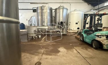 Venta -  Bodega y Chacra con Producción de Viña - R023