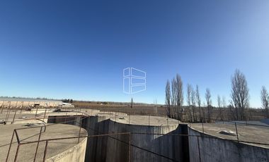 Venta -  Bodega y Chacra con Producción de Viña - R023