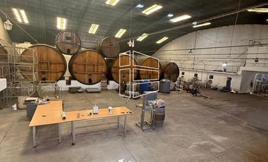 Venta -  Bodega y Chacra con Producción de Viña - R023