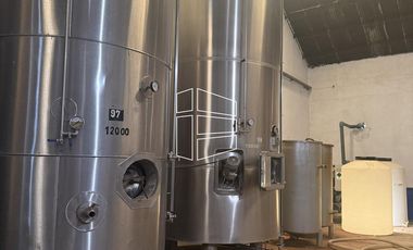 Venta -  Bodega y Chacra con Producción de Viña - R023