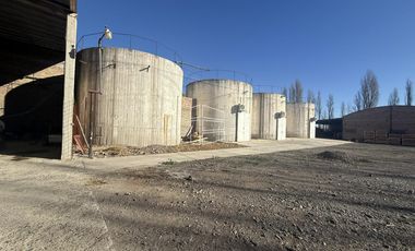 Venta -  Bodega y Chacra con Producción de Viña - R023