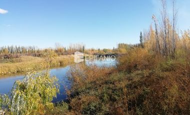 Chacra en Blanco -  Venta - General Roca - R011