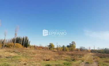 Chacra en Blanco -  Venta - General Roca - R011