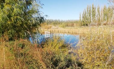 Chacra en Blanco -  Venta - General Roca - R011