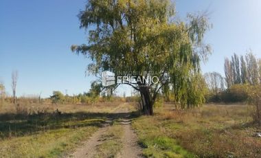 Chacra en Blanco -  Venta - General Roca - R011