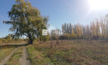 Chacra en Blanco -  Venta - General Roca - R011