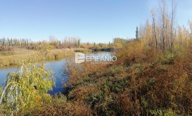 Chacra en Blanco -  Venta - General Roca - R011