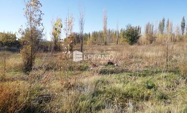 Chacra en Blanco -  Venta - General Roca - R011