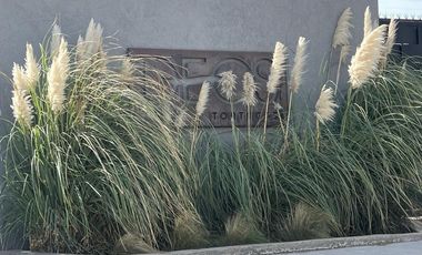 Venta Casa 4 amb. a Estrenar en Decs Tortugas Escobar