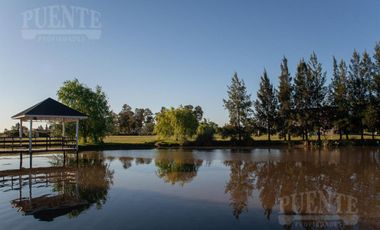 Terreno - San Eliseo Golf