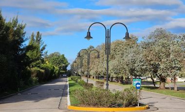 LOTE EN VENTA C/ PROYECTO SAINT THOMAS OESTE - CANNING