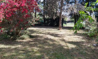 Casa  4 amb. /  Quinta  1200 m2 de terreno -  BERAZATEGUI - VENTA