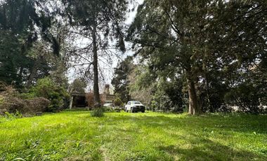 Casa  4 amb. /  Quinta  1200 m2 de terreno -  BERAZATEGUI - VENTA