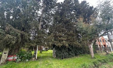 Casa  4 amb. /  Quinta  1200 m2 de terreno -  BERAZATEGUI - VENTA