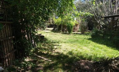 Casa  4 amb. /  Quinta  1200 m2 de terreno -  BERAZATEGUI - VENTA