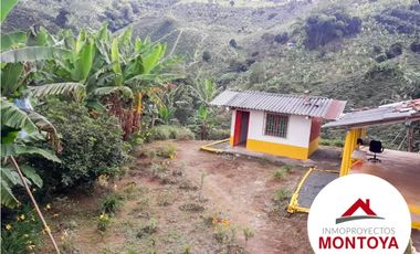 SE VENDE FINCA CAFETERA SECTOR ALTAGRACIA
