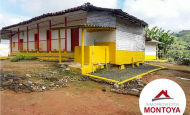 SE VENDE FINCA CAFETERA SECTOR ALTAGRACIA