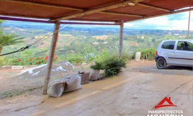 Finca productiva en la vía a Altagracia, Pereira