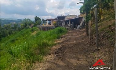Finca productiva en la vía a Altagracia, Pereira