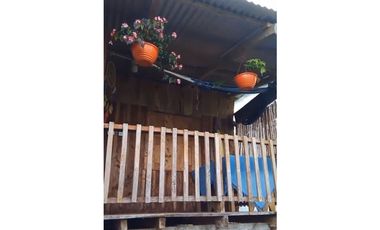 FINCA PRODUCTIVA EN VENTA LA QUISQUINA, PALMIRA VALLE DEL CAUCA