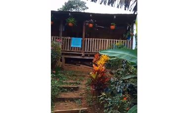 FINCA PRODUCTIVA EN VENTA LA QUISQUINA, PALMIRA VALLE DEL CAUCA