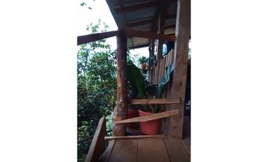 FINCA PRODUCTIVA EN VENTA LA QUISQUINA, PALMIRA VALLE DEL CAUCA